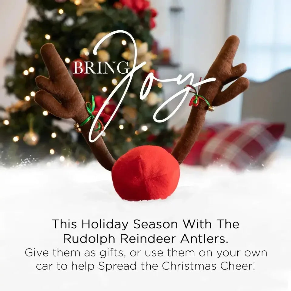 Decoración navideña para coche